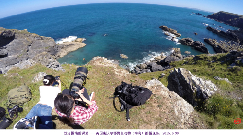 欧美a片